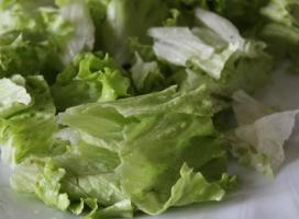 Зеленый салат с креветками и твердым сыром